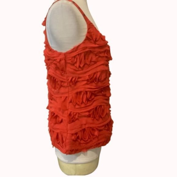 Cynthia Steffe Sleeveless Raw Textured Blouse Sz 4 - Picture 3 of 11